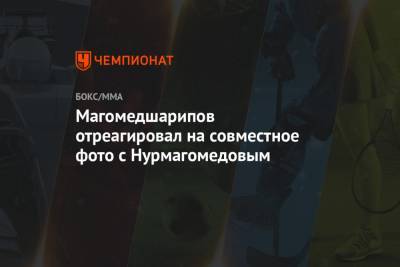 Хабиб Нурмагомедов - Забит Магомедшарипов - Магомедшарипов отреагировал на совместное фото с Нурмагомедовым - championat.com