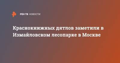 Краснокнижных дятлов заметили в Измайловском лесопарке в Москве - ren.tv - Москва