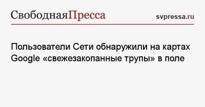 Пользователи Сети обнаружили на картах Google «свежезакопанные трупы» в поле - svpressa.ru - USA - Кемерово - штат Орегон
