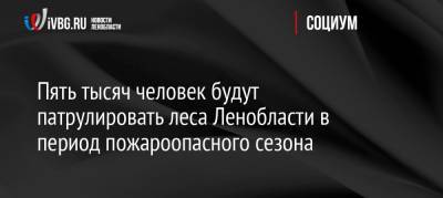 Пять тысяч человек будут патрулировать леса Ленобласти в период пожароопасного сезона - ivbg.ru - Ленинградская обл. - окр.Сзфо