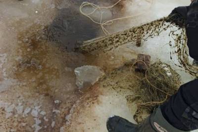 В Волге на границе Марий Эл нашли незаконно установленные сети - mk.ru - респ. Марий Эл
