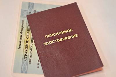 Владимир Путин - В Госдуму снова внесли законопроект об индексации пенсий работающим пенсионерам - pnp.ru - Севастополь