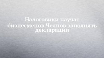 Налоговики научат бизнесменов Челнов заполнять декларации - chelny-izvest.ru