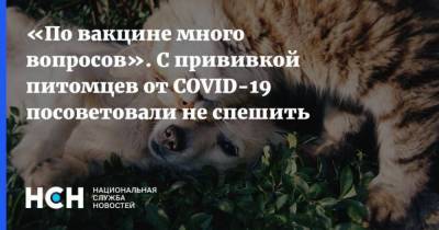 Геннадий Онищенко - По вакцине много вопросов. С прививкой питомцев от COVID-19 посоветовали не спешить - skuke.net - Россия