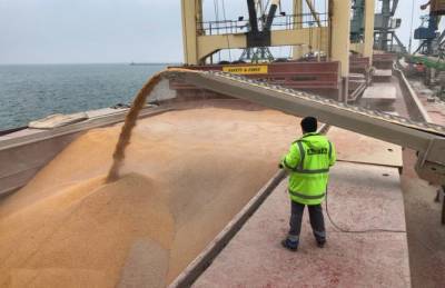 Морские порты перевалили на 37% меньше зерна - agroportal.ua - Украина