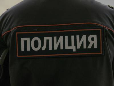 В уральском поселке обнаружили тело новорожденного младенца в пакете - runews24.ru - Челябинская обл. - район Красноармейский