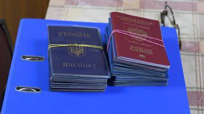 Павел Крашенинников - Андрей Клишас - В России предложили разрешить крымчанам с гражданством Украины быть госслужащими - iz.ru - Крым - Севастополь