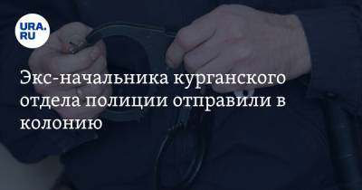 Экс-начальника курганского отдела полиции отправили в колонию - ura.news - Курганская обл. - Курган - район Далматовский