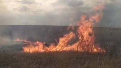 Воронежцы сообщили о пожаре в Дивногорье: появилось видео - vestivrn.ru - Воронеж