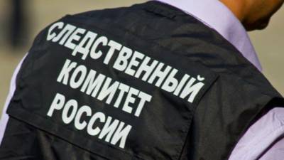 Женщина убила знакомого в Амурской области и закопала его останки в поле - nation-news.ru - Амурская обл.