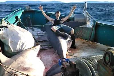Рыбаки сфотографировались с акулами-людоедами и лишились сотен тысяч рублей - lenta.ru - Australia