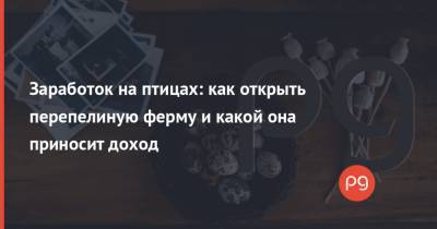 Заработок на птицах: как открыть перепелиную ферму и какой она приносит доход - thepage.ua - Киев - Черкасская обл.