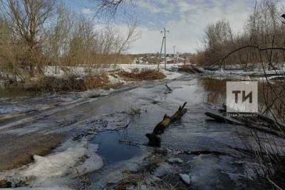 Паводковые воды затопили два моста и дорогу в Татарстане - kazan.mk.ru - респ. Татарстан - район Арский - район Буинский