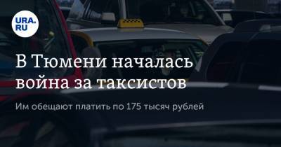 В Тюмени началась война за таксистов. Им обещают платить по 175 тысяч рублей - ura.news - Тюмень