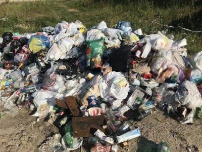 В Красноярске жильцы общежития, где забился мусоропровод, стали выбрасывать отходы в окно (видео) - rosbalt.ru - Красноярск