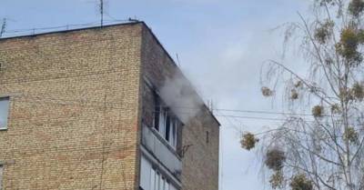 В пожаре под Киевом погибли двое пенсионеров (ФОТО) - delo.ua - Киев - Киевская обл.