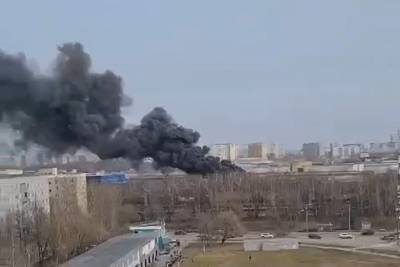 Черный столб дыма исходит от горящего мусора в Чертаново - vm.ru - Москва