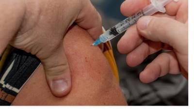 В России пока не планируют вакцинировать трудовых мигрантов от COVID-19 - piter.tv