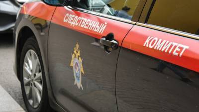 СК возбудил дело после инцидента со светошумовым устройством в школе на юге столицы - m24.ru - Москва