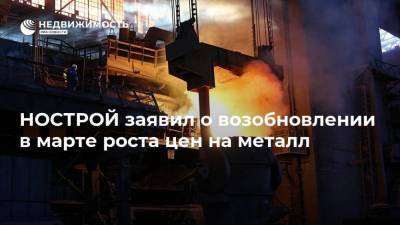 Ирек Файзуллин - Антон Глушков - НОСТРОЙ заявил о возобновлении в марте роста цен на металл - realty.ria.ru - Москва - Россия