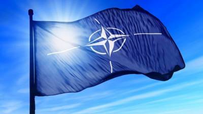 Вступление Украины в НАТО остановит Россию, но попытка дорого обойдется государству, – Арестович - 24tv.ua - Крым - Луганская обл. - Донецк - Луганск - Новости - Донецкая обл.