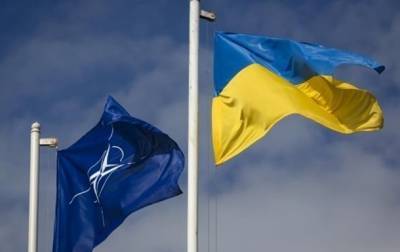 Ольга Стефанишина - СНБО готовит решение о главных шагах на пути Украины в НАТО - korrespondent.net - Украина - Снбо