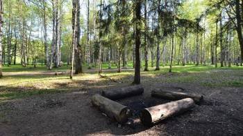 Прокуратура выявила многочисленные нарушения при содержании парка Мира в Вологде - vologda-poisk.ru - Вологда