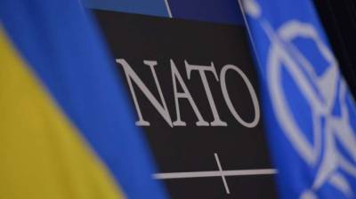Зеленский - Зеленскому объяснили, почему Украина до сих пор не член НАТО - lenta.ua - Украина