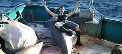 Рыбаки сфотографировались с акулами-людоедами и лишились денег - stolicaonego.ru - Australia