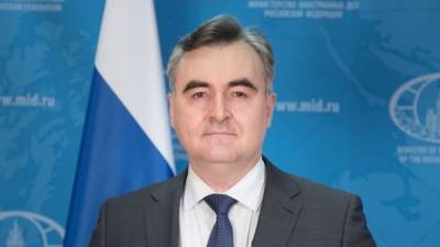 Сергей Мелик-Багдасаров - Посол РФ в Венесуэле указал на внешние попытки дестабилизировать ситуацию в стране - riafan.ru - Венесуэла - Каракас