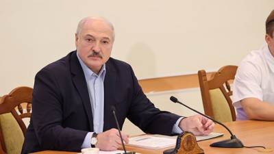 Лукашенко - Лукашенко призвал провести проверку некоммерческих организаций в Белоруссии - newinform.com - Белоруссия