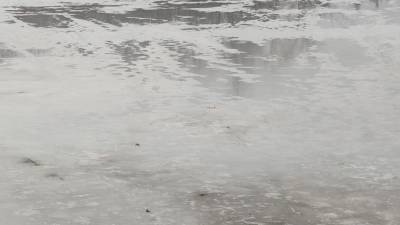 Сотрудники МЧС спасли провалившегося под лед на самокате подростка в Екатеринбурге - nation-news.ru - Екатеринбург