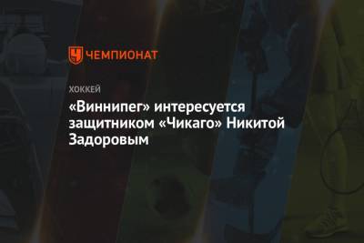 Никита Задоров - «Виннипег» интересуется защитником «Чикаго» Никитой Задоровым - championat.com