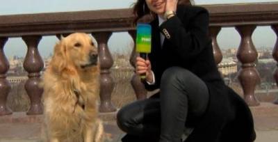 Надежда Сережкина - «Кому нужен снег с дождем?» Собака в прямом эфире отобрала микрофон у ведущей - w-n.com.ua