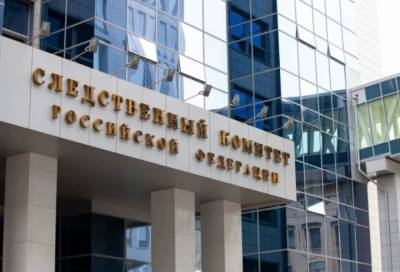 Александр Бастрыкин - Глава СК поручил привлечь эксперта по баллистике в деле о ранении мальчика в Кингисеппе - online47.ru - Санкт-Петербург