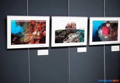 В Южно-Сахалинске открылась фотовыставка о Монероне - sakhalin.info - Южно-Сахалинск