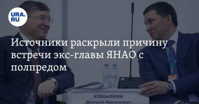 Владимир Якушев - Дмитрий Кобылкин - Источники раскрыли причину встречи экс-главы ЯНАО с полпредом - ura.news - Салехард - окр. Янао