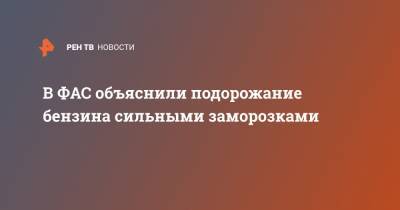 В ФАС объяснили подорожание бензина сильными заморозками - ren.tv - Россия