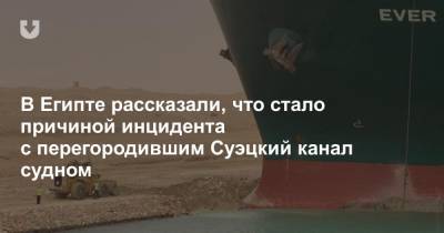 В Египте рассказали, что стало причиной инцидента с перегородившим Суэцкий канал судном - news.tut.by - Египет - Япония