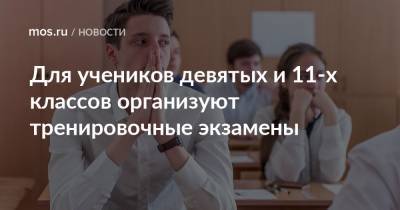 Для учеников девятых и 11-х классов организуют тренировочные экзамены - mos.ru - Москва