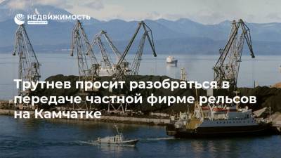 Юрий Трутнев - Трутнев просит разобраться в передаче частной фирме рельсов на Камчатке - realty.ria.ru - Россия - Камчатский край - Петропавловск-Камчатский