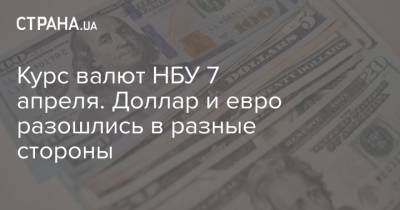 Курс валют НБУ 7 апреля. Доллар и евро разошлись в разные стороны - strana.ua