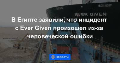 В Египте заявили, что инцидент с Ever Given произошел из-за человеческой ошибки - news.mail.ru - Египет - Япония