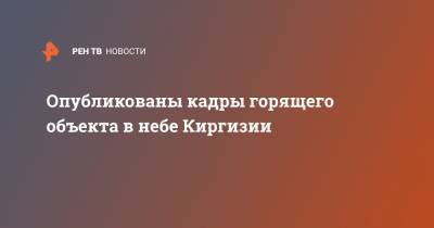 Опубликованы кадры горящего объекта в небе Киргизии - ren.tv - Киргизия - Антарктида