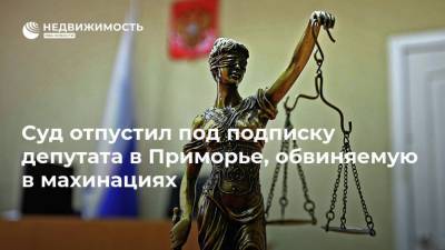 Суд отпустил под подписку депутата в Приморье, обвиняемую в махинациях - realty.ria.ru - Приморье край - Владивосток