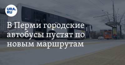 В Перми городские автобусы пустят по новым маршрутам - ura.news - Пермь