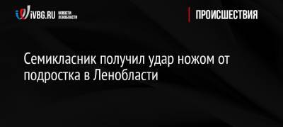 Семикласник получил удар ножом от подростка в Ленобласти - ivbg.ru - Россия - Ленинградская обл.