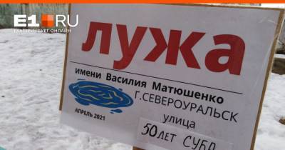 В Североуральске в честь мэра города назвали дворовую лужу - e1.ru - Екатеринбург - Североуральск
