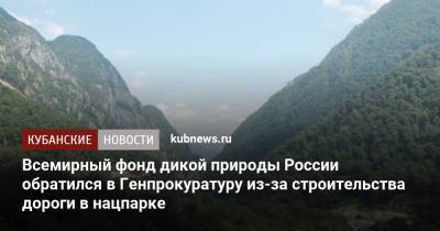 Всемирный фонд дикой природы России обратился в Генпрокуратуру из-за строительства дороги в нацпарке - kubnews.ru - Сочи - Краснодарский край