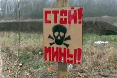 В Славяносербске на мине подорвались два юноши - real-vin.com - Москва - ЛНР - Славяносербск